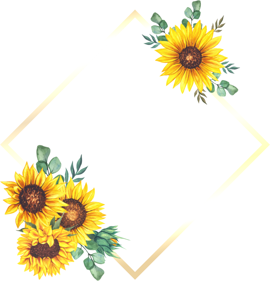 Illustration of Sunflower Frame