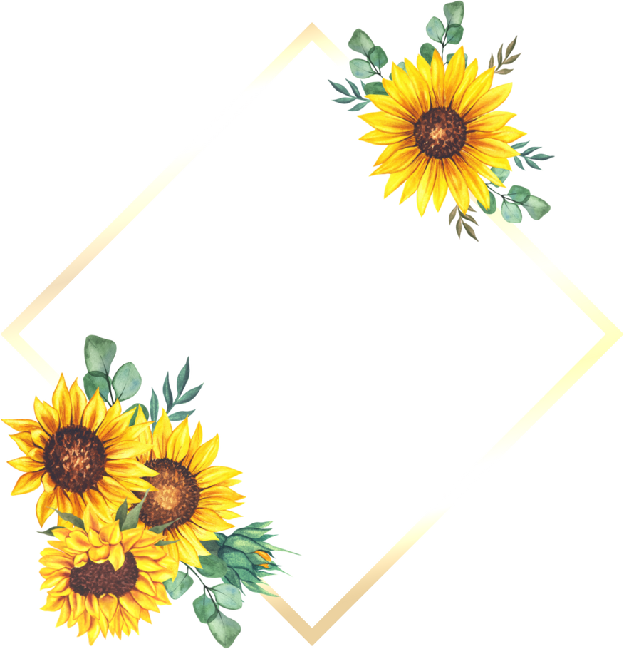 Illustration of Sunflower Frame